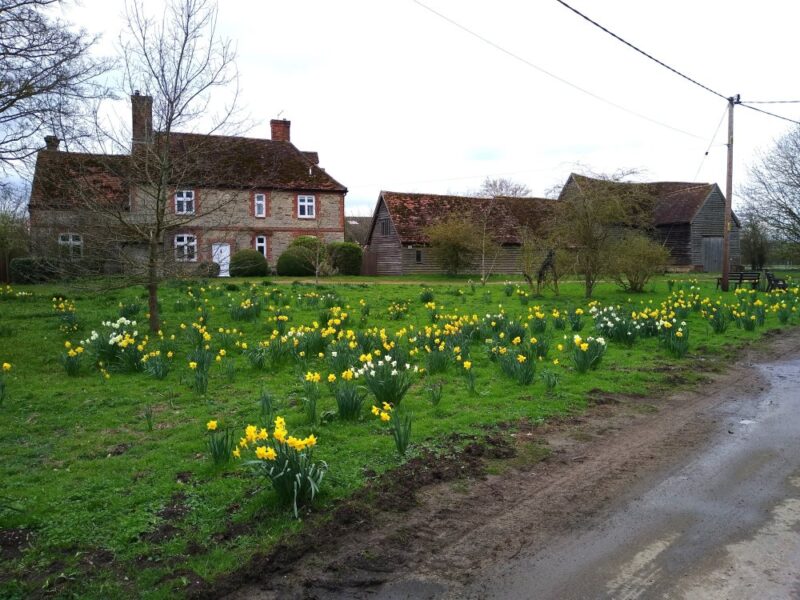 View of the former village green, March 2023 with 87 Lower Radley and its adjououning 18th century barn