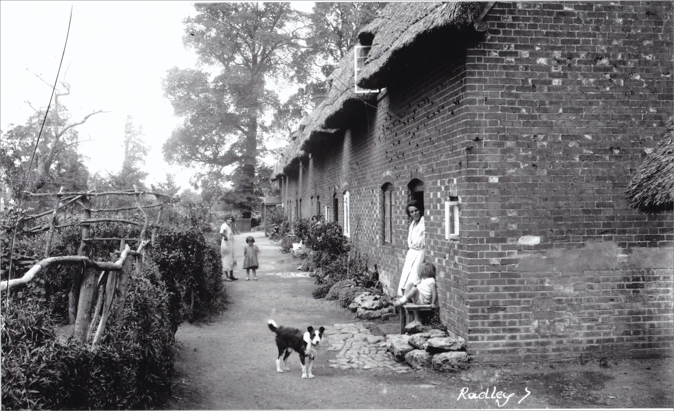 Rose Cottage Terrace in Radley, pictured probably in the 1930s