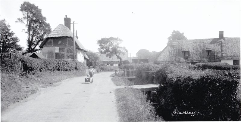 Raod through what is now Lower Radley showing Spinney's Cottage on the left and what is now 46 Lower RadleyBuckle 